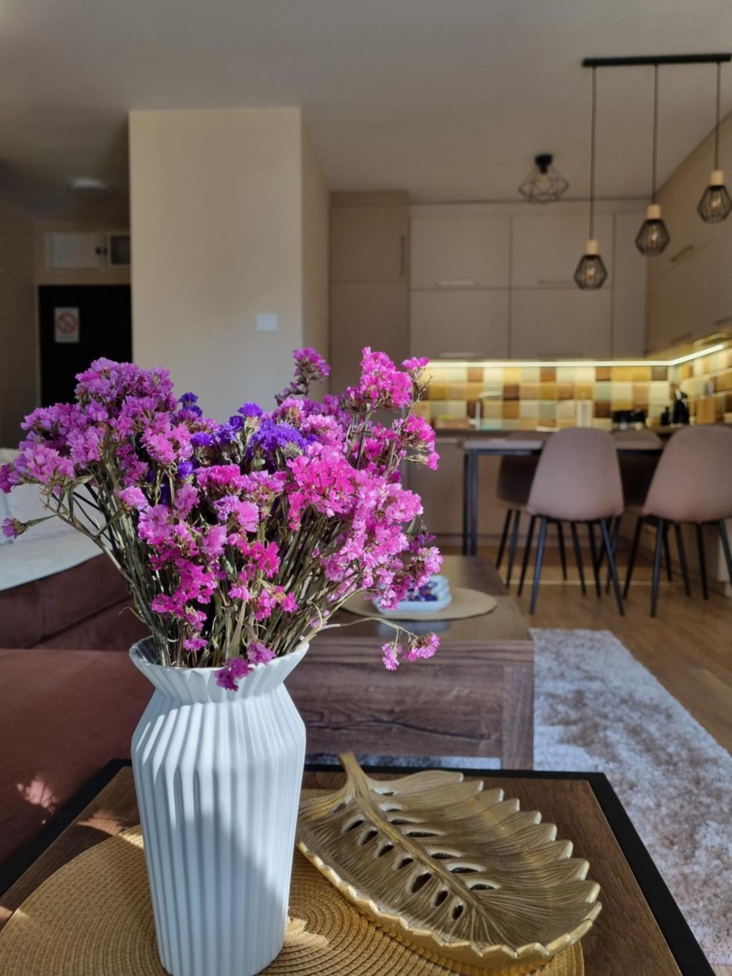 Stella Apartment Subotica Luaran gambar